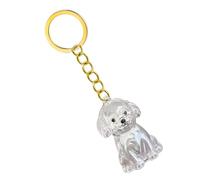 APGLSXY Llavero conmemorativo transparente para mascotas, botella de pelo para conservar perros y cenizas, caja conmemorativa, llavero conmemorativo de pérdida de ojos, estuche transparente