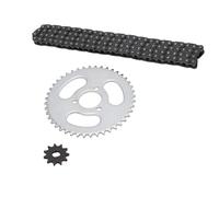 APGLSXY Placa de cadena de repuesto para piñón de kart, resistente al óxido, diseño ligero, se adapta a múltiples modelos de kart, placa de cadena de acero de alta resistencia