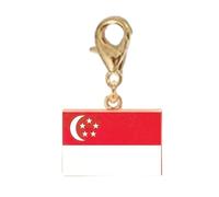 APGLSXY Pulsera de acero inoxidable con cierre de langosta, colgante de país para viajes, regalo, accesorio de pulsera de bandera