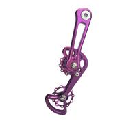 APGLSXY Tensor de cadena de bicicleta de montaña, aleación de aluminio, convertidor de ajuste de velocidad única, guía de doble resorte, guía de desviador de bicicletas, fácil instalación