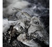 Aphonic Threnody - When Death Comes (2lp) [Import] [Vinilo]