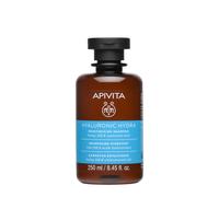 Apivita Champú Hidratante - Champú Natural Hidratante con Ácido Hialurónico, Aloe y Miel - Ofrece Hidratación Profunda, Control del Frizz y Previene la Rotura y las Puntas Abiertas