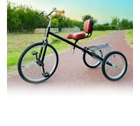 Apk i bc Triciclo para Adultos, se pliega rápidamente, es Robusto y Estable, Adecuado para Ciclismo al Aire Libre.(C,139 * 88cm)