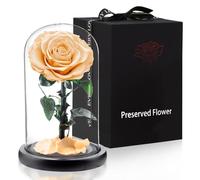 APKOL Rosa Eterna Bajo una Cúpula de Cristal, Rosa Eterna Natural Preservada, Flor Eterna, San Valentin Regalos Mujer, Regalos para Madres,Regalo Novia,Regalos para Mujer Navidad,Color champán