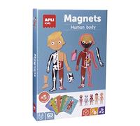 APLI Kids 18531 - Juego Magnético Educativo Cuerpo Humano, 63 Imanes | A partir de 5 años, Tablero imantado 28 x 18 cm, Esqueleto, órganos y músculos, 15 fichas en 12 idiomas