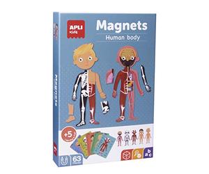 APLI Kids 18531 - Juego Magnético Educativo Cuerpo Humano, 63 Imanes | A partir de 5 años, Tablero imantado 28 x 18 cm, Esqueleto, órganos y músculos, 15 fichas en 12 idiomas