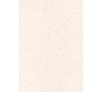 APLI PCL1602 - Papel pergamino gris A4 95 g 100 hojas