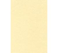 APLI PCL1677 - Papel pergamino champán A4 165 g 50 hojas