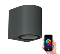 Aplique ALSE downlight para exterior aluminio antracita redondo incl. Smart Home