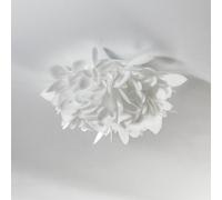 Aplique de pared Slamp Veli Foliage Mini, Ø 36 cm