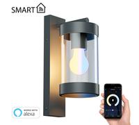 Aplique LAIFA antracita mate redondo incl. lámpara E27 cristal esmerilado Smart