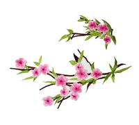 Apliques bordados de flores, parches de tela bordados, cuello de tela de flores para vestido de novia, jeans, sombrero, ropa, fácil de planchar