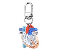 APLudoo Llavero portátil de órganos humanos, llavero de anatomía de corazón, anillo ligero, accesorio para trabajadores de la salud, regalo para profesores de biología