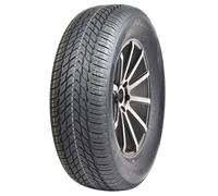 APlus A701 XL 205/60 R16 96H coche de turismo Neumáticos de invierno Neumáticos 2AP2161H1