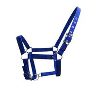 APLVFFZH Halter para Caballo Ajustable Diseñado para Caballos Pequeños Correa Proporcionada con Cabeza para Equitación Y Accesorio Ecuestre Portátil, Azul
