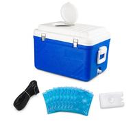 APLVFFZH Nevera portátil con Aislamiento, Caja térmica con Techo Solar y Puerto Drenaje, Box para Camping, Pesca y Barbacoa, Estándar con tragaluz, 65L