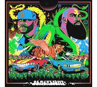 Apollo Brown & Stalley - Blacklight