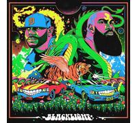 Apollo brown and stalley - Blacklight [Vinilo]