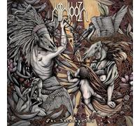Appalooza - The shining son [Vinilo]
