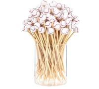 Appetizers Football Toothpicks, Long Appetizer Picks Baseball Fútbol Cupcake Toppers, 100 piezas Decorative Food Sandwich Skewers, Perfect for Holiday and Birthday