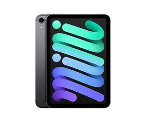 Apple 2021 iPad Mini (de 8,3 Pulgadas con Wi-Fi + Cellular, 256 GB) - Gris Espacial (6.ª generación)