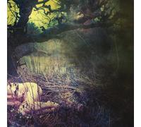 Apple Never Falls.. -Hq (Vinyl) (Importación USA)