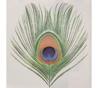 Apple Venus Vol 1 By XTC (2015-06-15)