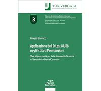 Applicazione del D.Lgs 81/08 negli istituti penitenziari. Sfide e opportunità per la gestione della sicurezza sul lavoro in ambiente carcerario (Itinerari di ambiente, salute e sicurezza)