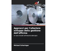 Approcci per l'ulteriore sviluppo della gestione dell'officina
