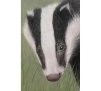 Approx A5 hardback notebook / journal with Badger artwork by Sally Sturgess: 160 lined pages. Perfect gift for badger lover. Supports a UK artist