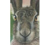 Approx A5 hardback notebook / journal with Hare artwork by Sally Sturgess: 160 lined pages. Perfect gift for hare lover. Supports a UK artist.
