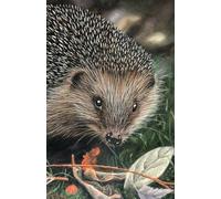 Approx A5 Week Per Page 2026 Diary with Hedgehog Artwork by Sally Sturgess.: With US Holidays and important dates. Perfect gift for hedgehog lovers!
