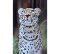 Approx A5 Week Per Page 2026 Diary with Leopard Artwork by Sally Sturgess.: With US Holidays and important dates. Perfect gift for big cat lovers!