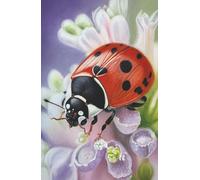Approx A5 Week Per Page Hard Back 2026 Diary with Ladybird Artwork by Sally Sturgess.: With UK Holidays, Pagan Festivals and Moon Phases. Supports a UK artist.