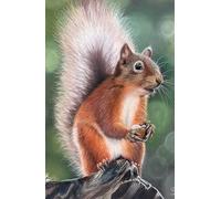 Approx A5 Week Per Page Hard Back 2026 Diary with Squirrel Artwork by Sally Sturgess.: With UK Holidays, Pagan Festivals and Moon Phases. Supports a UK artist.