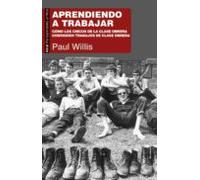 Aprendiendo A Trabajar (ebook)