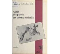 Après Dissipation Des Brumes Matinales (ebook)