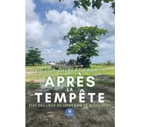 Après la tempête: État des lieux au lendemain de blessures...