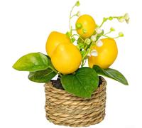 Aprilsunnyzone Limonero artificial en maceta pequeña de estilo de cerámica para decoración de mesa de oficina en casa decoración de mesa de escritorio estante interior acento(262989)