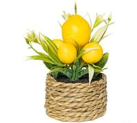Aprilsunnyzone Limonero artificial en maceta pequeña de estilo de cerámica para decoración de mesa de oficina en casa decoración de mesa de escritorio estante interior acento(262988)