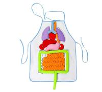APRONES DE ÓRDO - Ayuda de enseñanza de viscera de jardín de infantes, delantal de educación educativa de educación fisiológica delantal de enseñanza | Modelo de cuerpo humano del delantal de órgan
