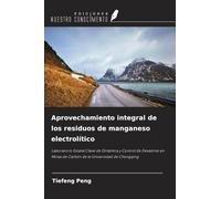 Aprovechamiento integral de los residuos de manganeso electrolítico: Laboratorio Estatal Clave de Dinámica y Control de Desastres en Minas de Carbón de la Universidad de Chongqing