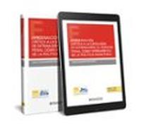 Aproximación Crítica A La Expulsión De Extranjeros. El Derecho Penal Como Herramienta De La Política Migratoria (Papel + E-book)