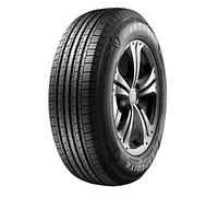 Aptany 12029 Neumático 225/60 R17 99H, Ru101 para 4X4, Verano