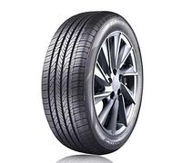 Aptany RP203 ( 205/60 R15 91V )
