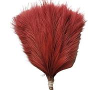 ApuaVireo&Co Hierba de la Pampa Artificial Grande, 1/5/10/30 Piezas, Ramo for Boda, Navidad, decoración de jarrones, jardín, Dormitorio, Mesa, Bricolaje(016wine Red,1pcs)