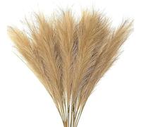 ApuaVireo&Co Hierba de la Pampa Grande, 10 Piezas, caña, Hierba de la Pampa, simulación, decoración esponjosa, Flor, Planta Falsa, Ramo, Fondo for el hogar(S5)