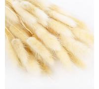 ApuaVireo&Co Hierba de la Pampa Grande, 50 Piezas, Flores secas de Cola de Conejo, Planta Artificial, Ramo de Flores de Pampa, decoración for Bodas, Fiestas, decoración del hogar(C)