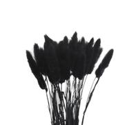 ApuaVireo&Co Hierba de la Pampa Grande, 50 Piezas, Flores secas de Cola de Conejo, Planta Artificial, Ramo de Flores de Pampa, decoración for Bodas, Fiestas, decoración del hogar(I)