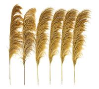 ApuaVireo&Co Hierba de la Pampa Grande, 80-120 cm, Natural, marrón, Floral, Vintage, Flor Seca, Planta Grande for decoración de Sala de Estar.(80-120cm-06,12pcs)